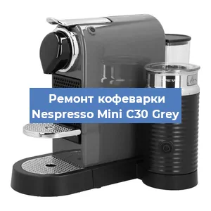 Чистка кофемашины Nespresso Mini C30 Grey от кофейных масел в Москве